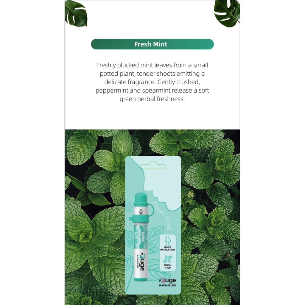 Zuge E-Inhaler Wholesale available | Shopee Malaysia