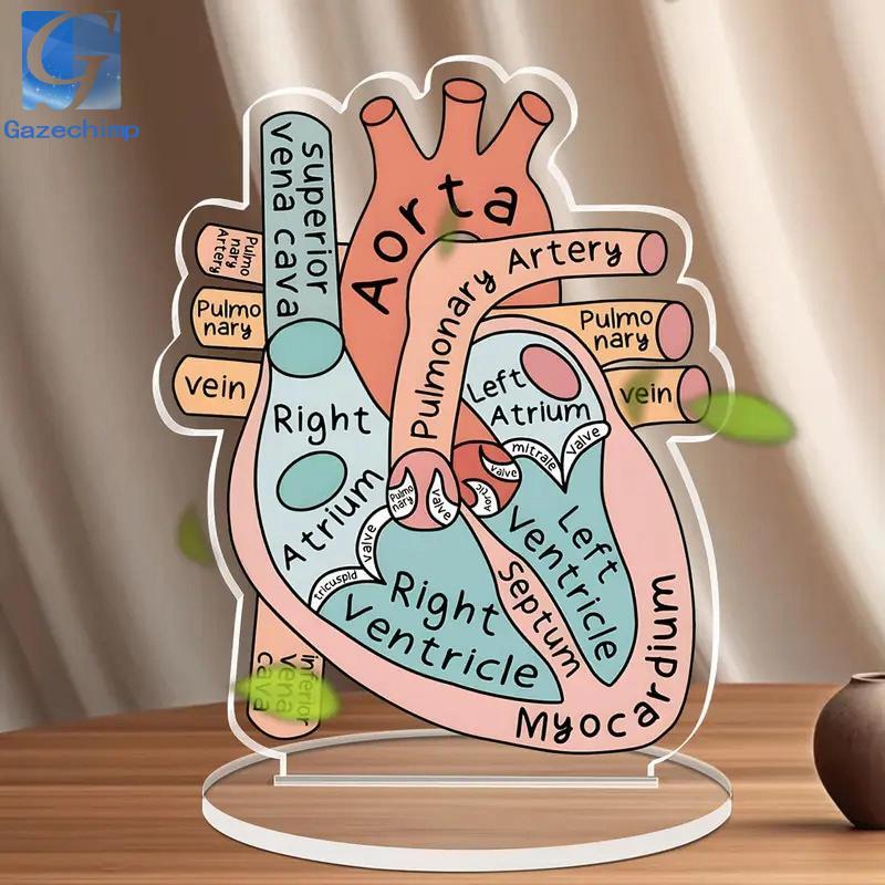 [Gazechimp] Anatomical Heart Model Sign 2D Anatomical Model for ...