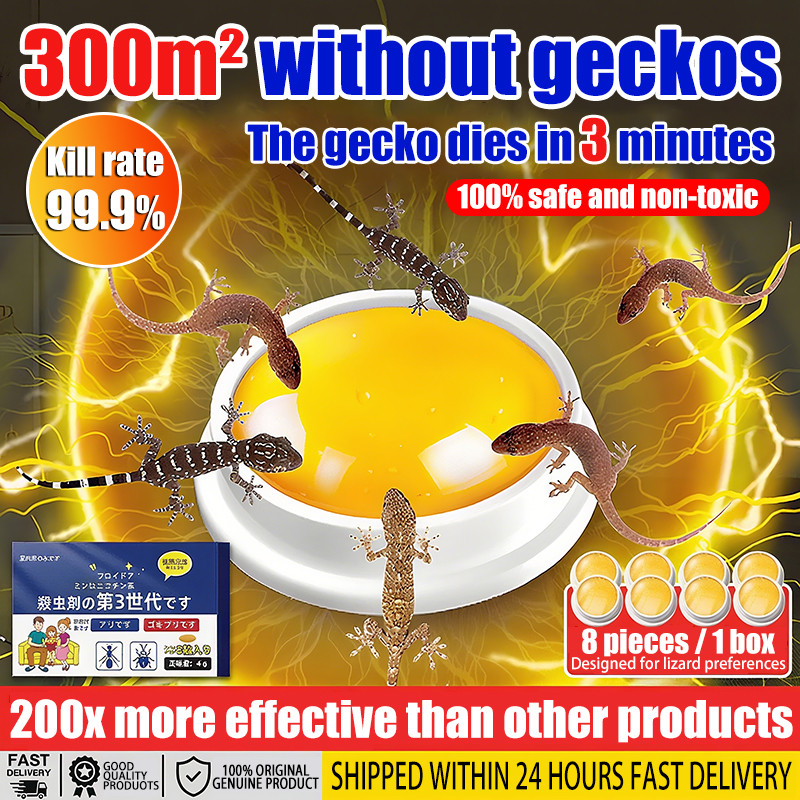 Lizard killer bait 16 pcs/box ubat cicak Can kill geckos lizards ...