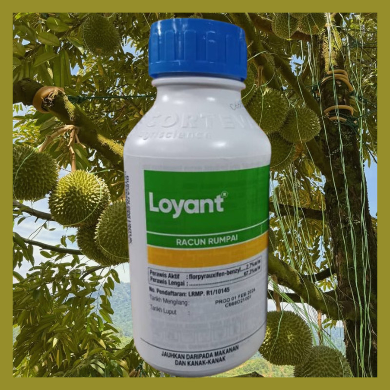 [ORIGINAL] 500ml LOYANT DOW RACUN RUMPAI PADI PASCA CAMBAH (SAMBAU ...