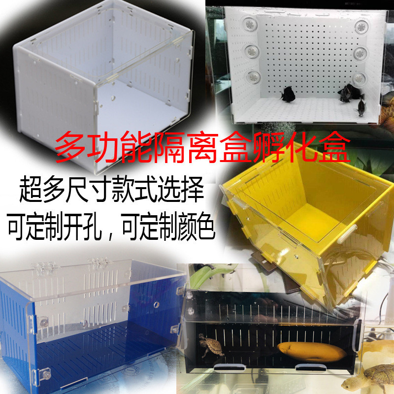 Acrylic Fish Tank Isolation Box Special-Shaped Fish Beard Guppy Fry ...