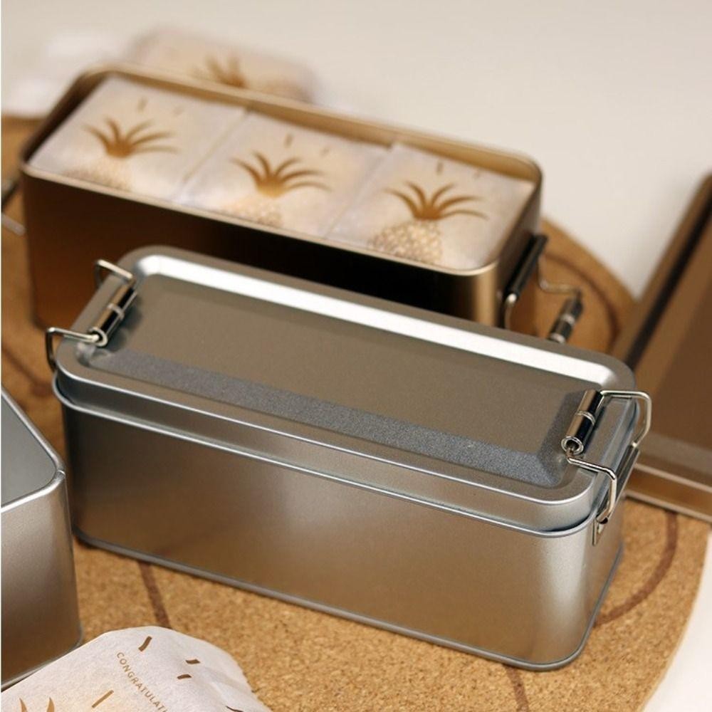 Rectangular Iron Storage Box with Lid - Old-Fashioned Metal Candy Cake ...