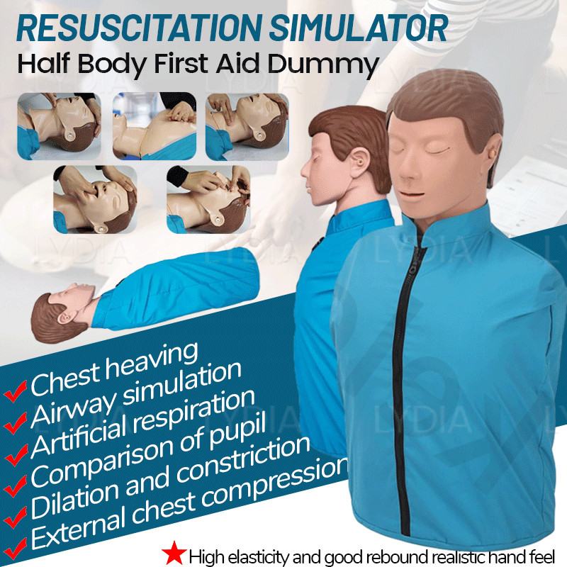 Half Body ADULT CPR Manikin Model Cardiopulmonary Resuscitation Model ...