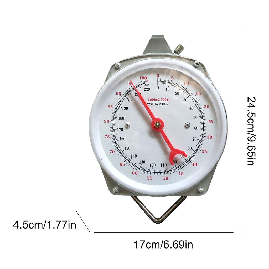 Fish Scales with 2 Hooks Mechanical Pointer Hook Scale Practical ...