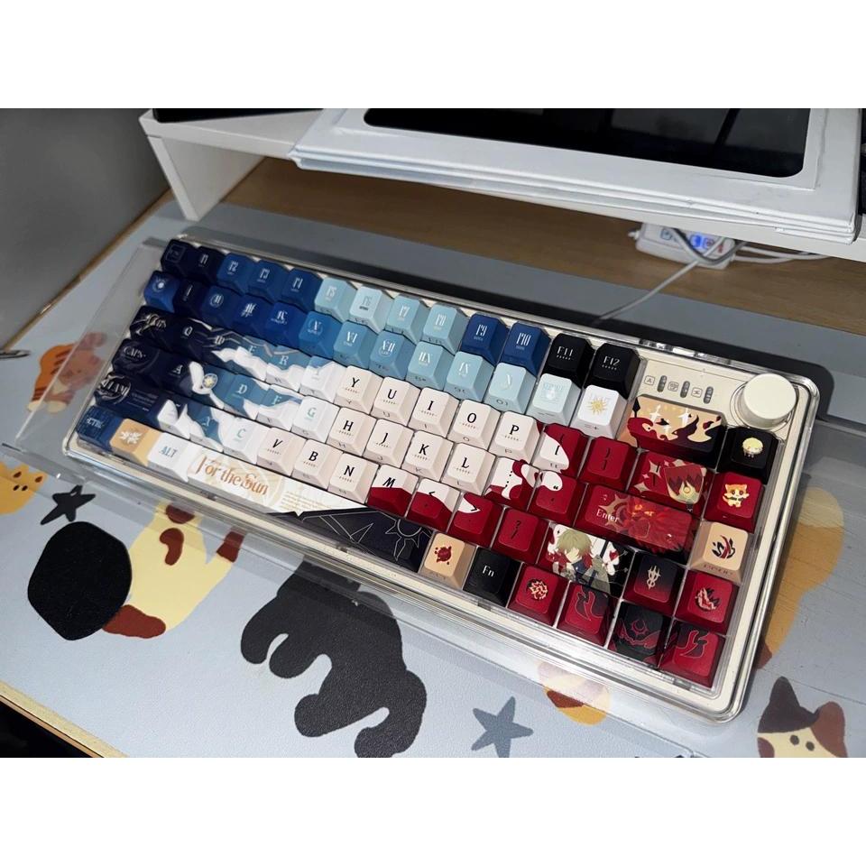 Mydei Keycaps 120 Keys Cherry / MOA Profile PBT Wooting Aula F75 ...