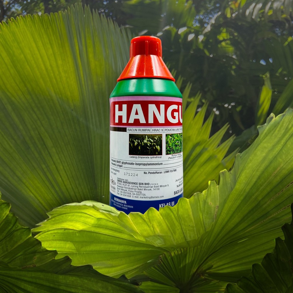 1L HANGUS Glyphosate 41% Weed Killer (Racun Rumput Lalang/Ubat rumput ...
