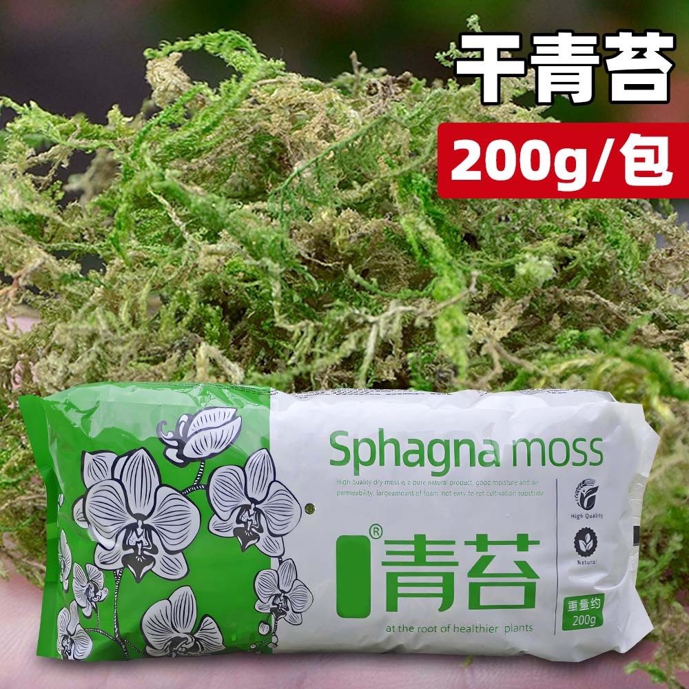 Moss Water Mos Hibernation Tin Dendrobium Dried Phalaenopsis Planting ...