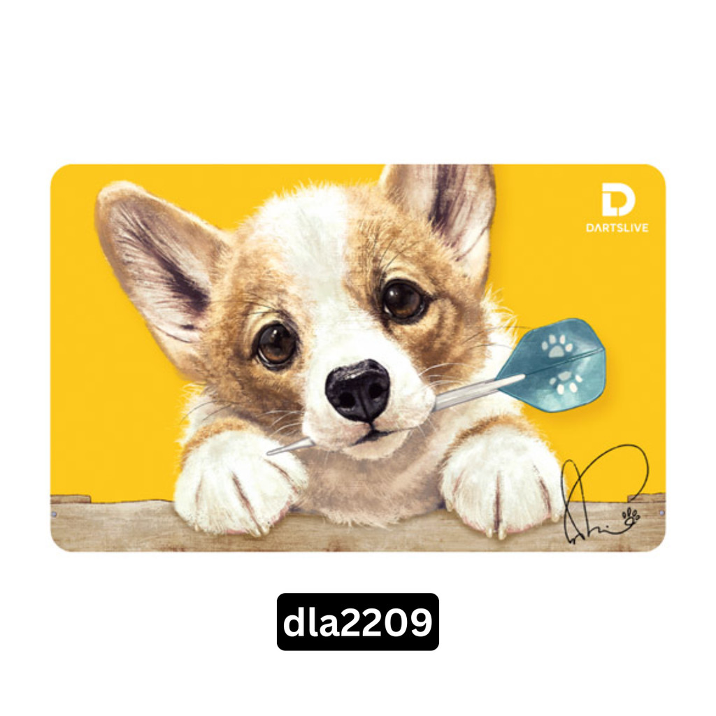 DARTSLIVE CARD - Dartslive Game Card 2026 | Shopee Malaysia