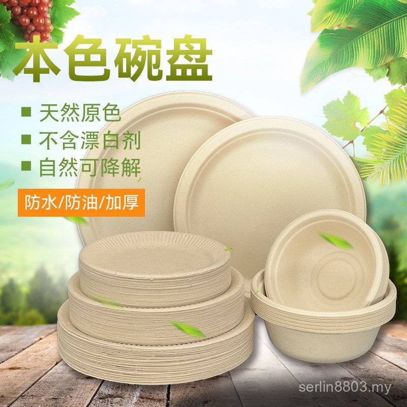 Natural Color Decomposable Disposable Tableware Outdoor Dinner Camping ...