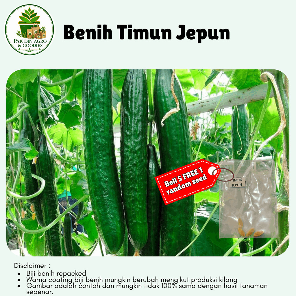 Buy timun jepun Online With Best Price, Jul 2026 | Shopee Malaysia