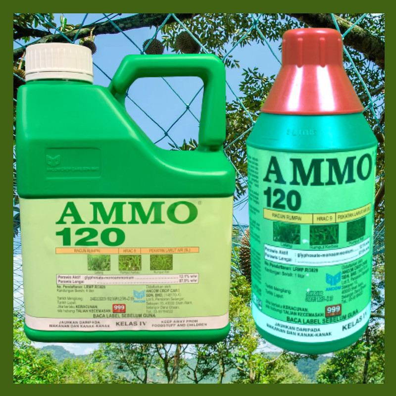 [ORIGINAL] 1L 4L AMMO 120 ANCOM HERBICIDE Glyphosate 12.1% RACUN RUMPUT ...