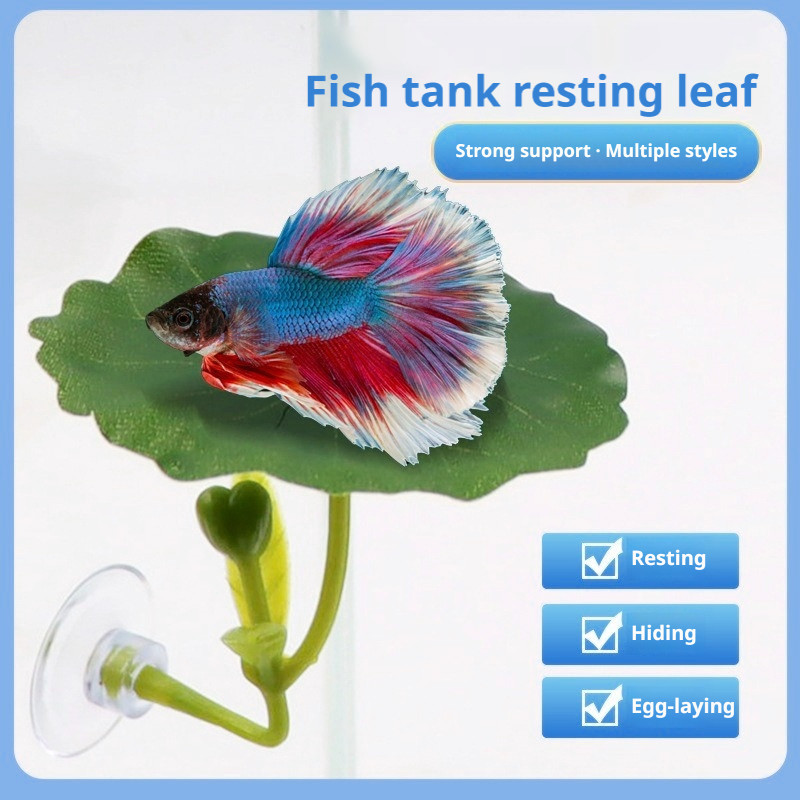 Buy fish betta Online With Best Price, Aug 2026 | Shopee Malaysia