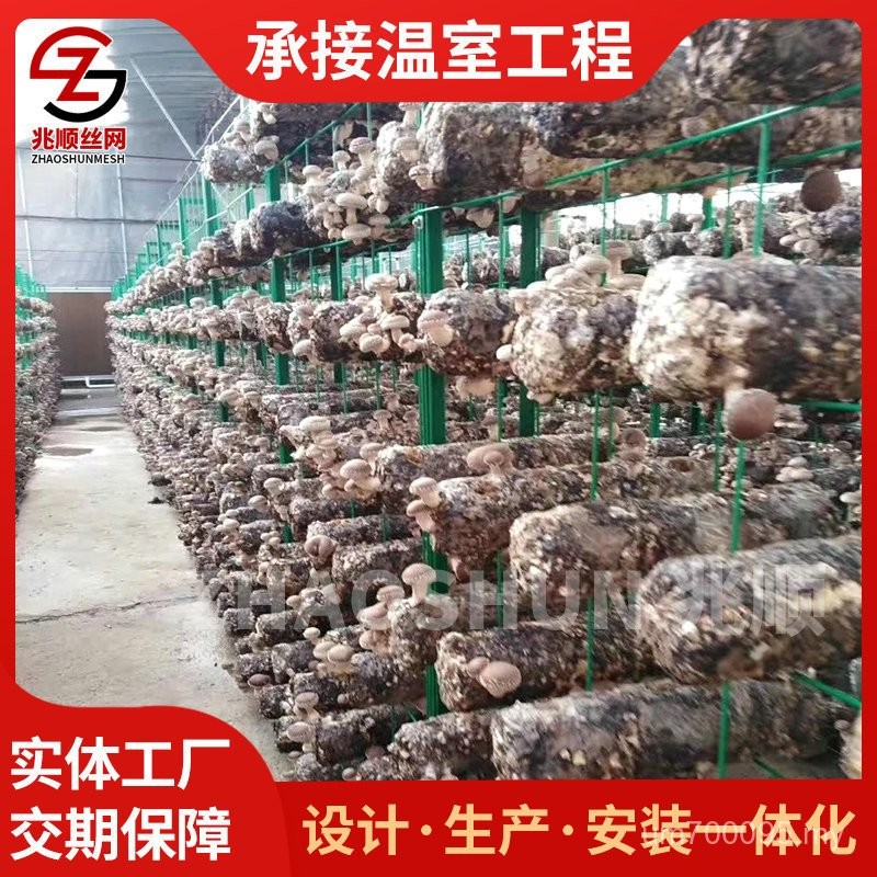 Planting Greenhouse Flower Stand Cultivation Rack King Oyster Mushroom ...