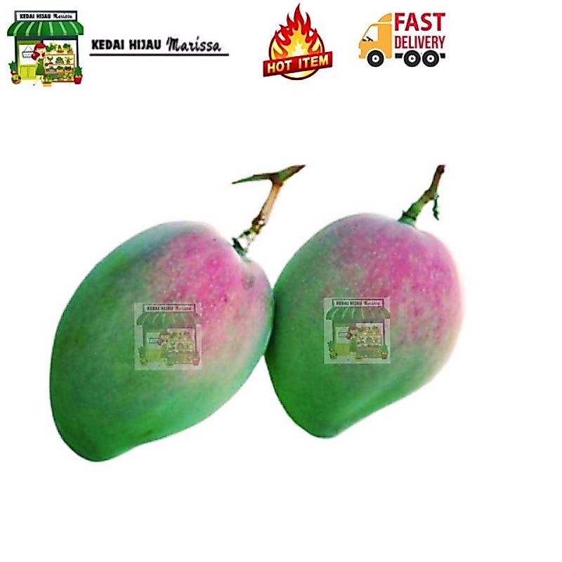 PELAM APPLE MANGGA EPAL BULAT MUDA FRESH SEGAR | Shopee Malaysia