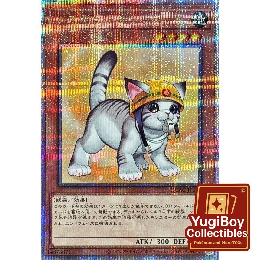 Rescue Cat QCSER QCAC-JP006