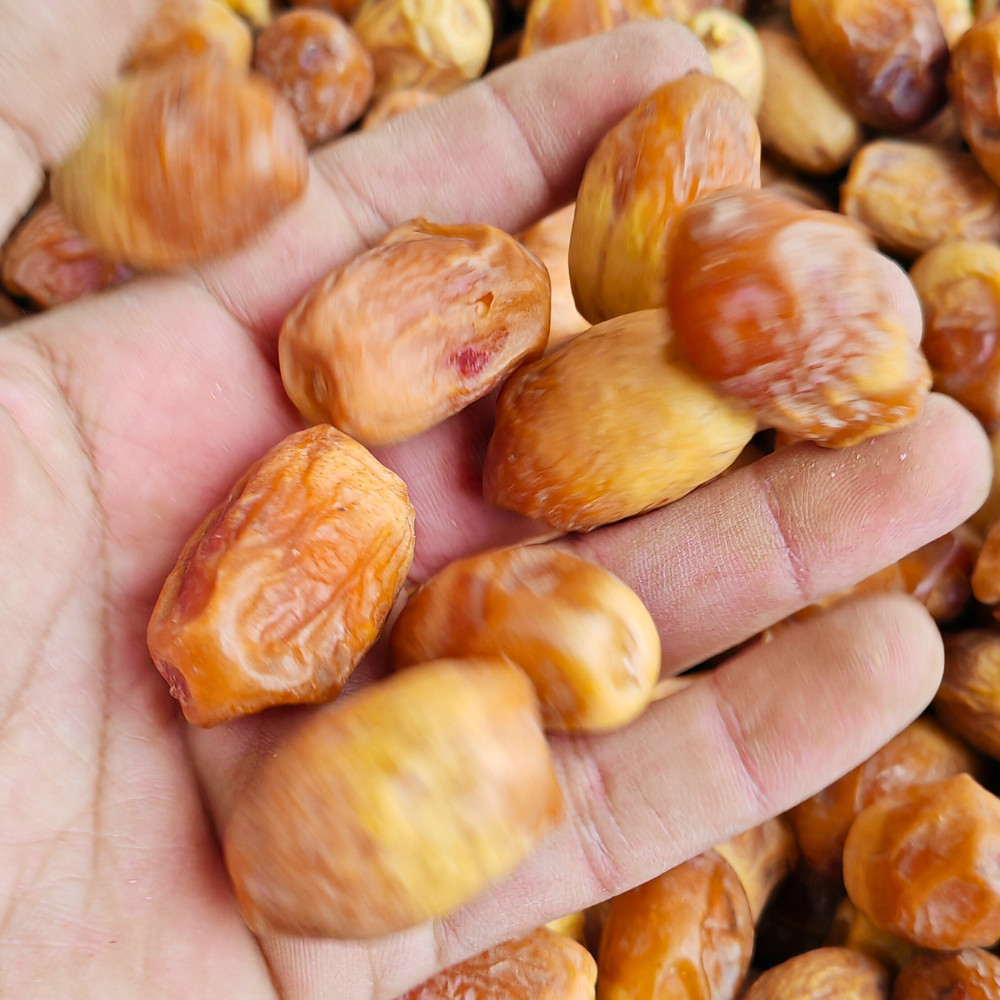 Zahedi Dates 1kg | Premium Kurma Zahedi Fresh Sweet Natural Dates خرماي ...