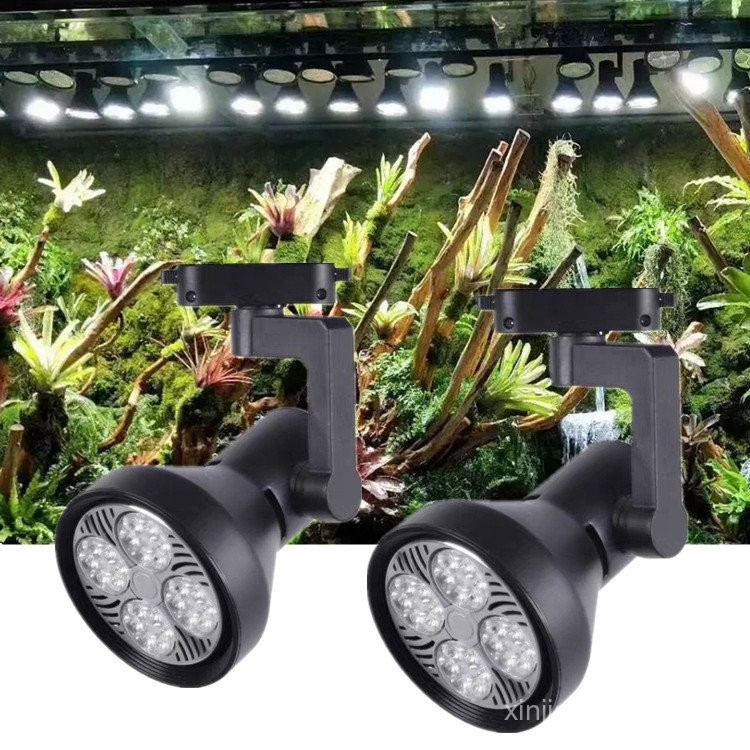 Led Rainforest Tank Landscaping Light Track Spotlight Amphibious ...