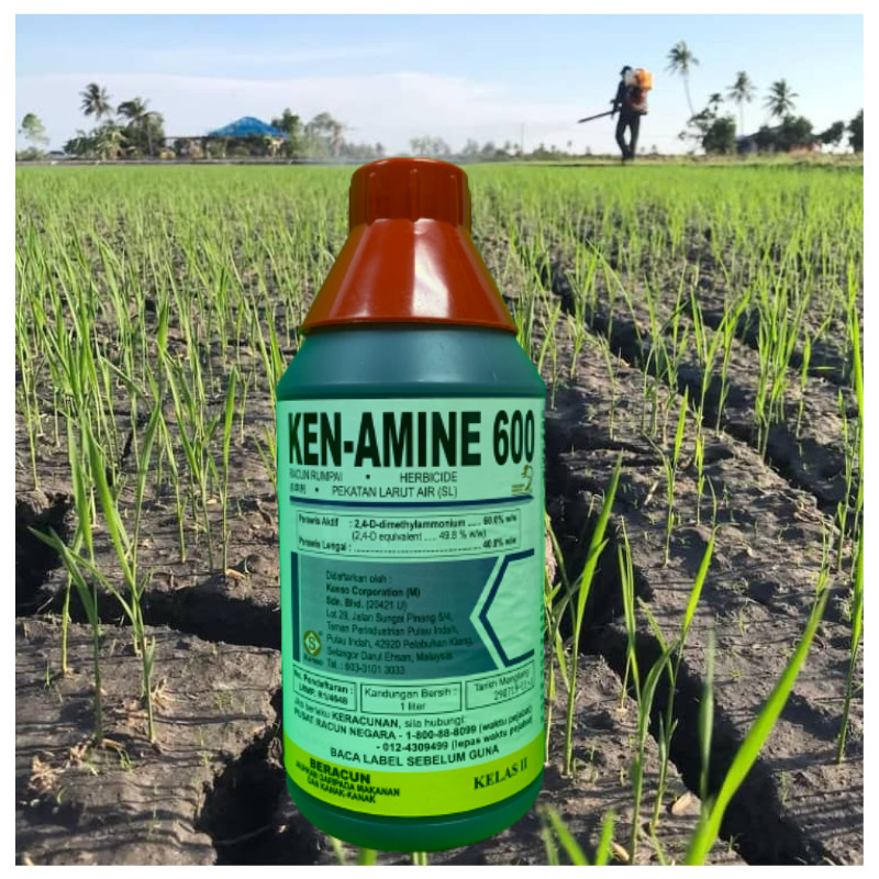 [ORIGINAL] 1L KEN-AMINE 600 Racun Rumput/RACUN RUMPAI/Racun Serap ...