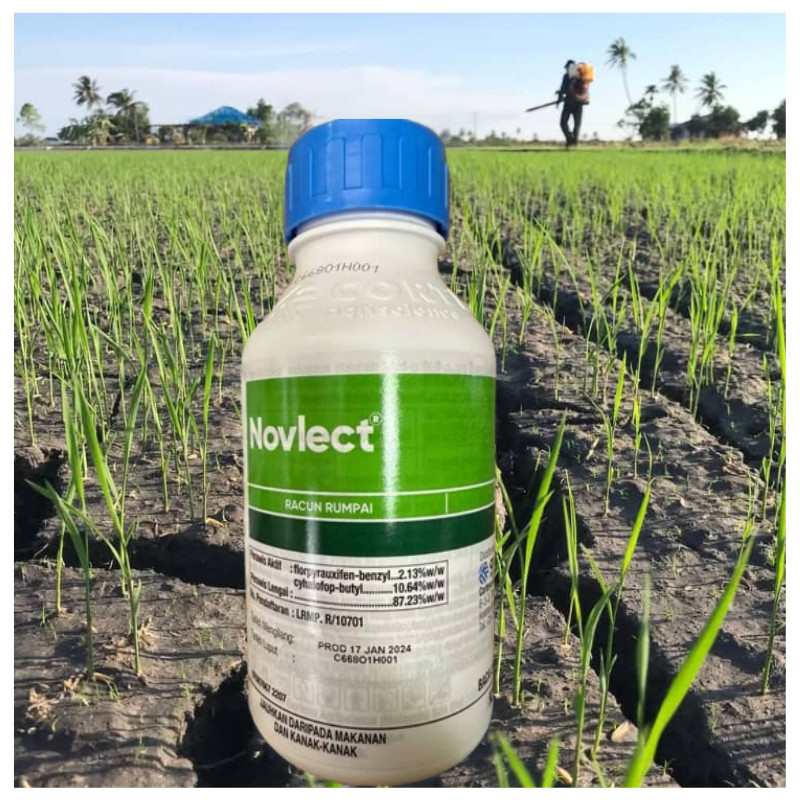 [ORIGINAL] 500ML NOVLECT / Corteva/ Loyant Campur Clincher/Racun Rumpai ...