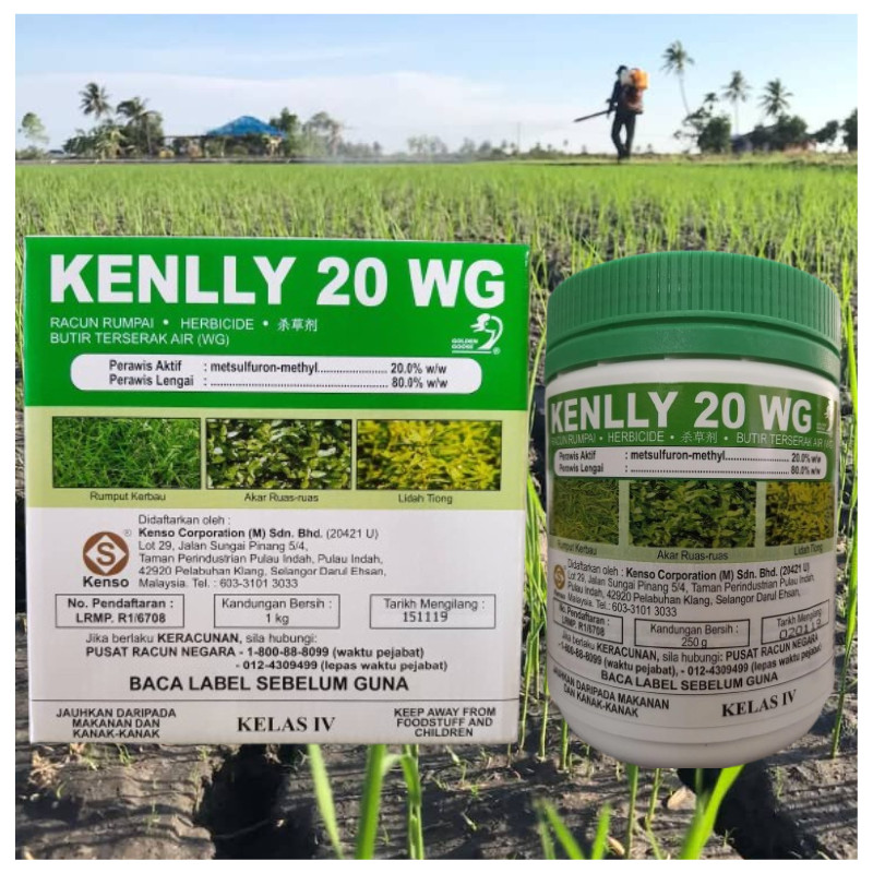 250G /1KG KENLLY 20WG (Sama Ally) Racun Alai Anak Kayu/Anak Pokok ...