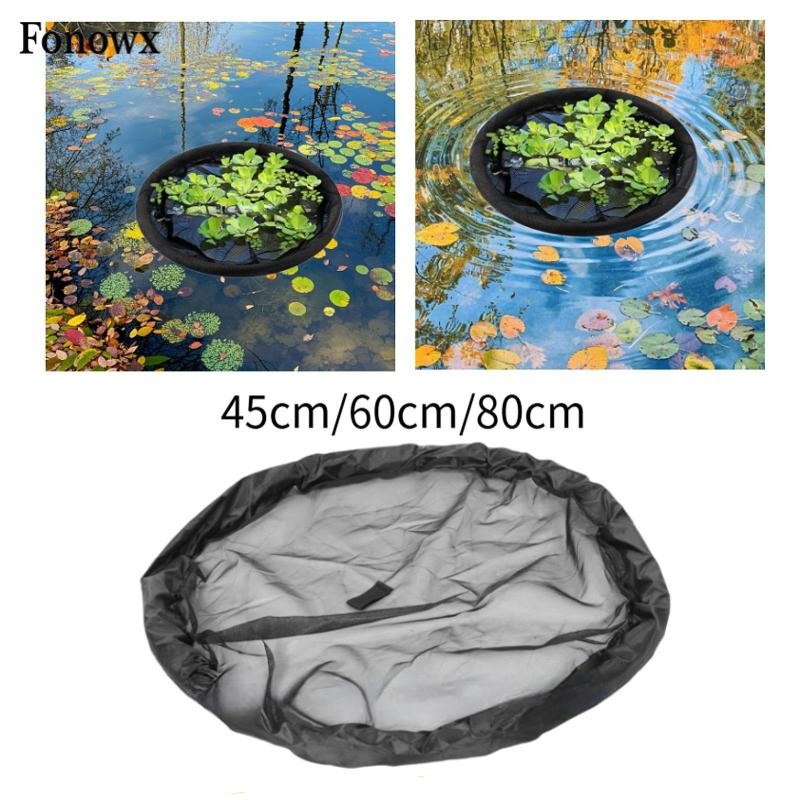 Best Floating Plants For Koi Pond At Jesse Lombard Blog