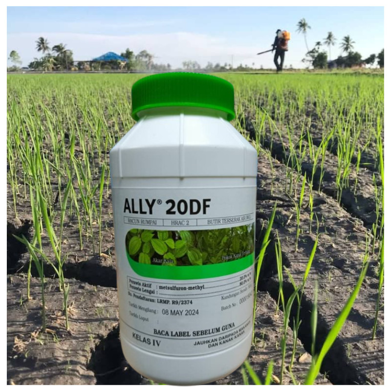 250G ALLY 20DF (Sama Ally)Anak Kayu/Anak Pokok/METSULFURON/Biji/Racun ...