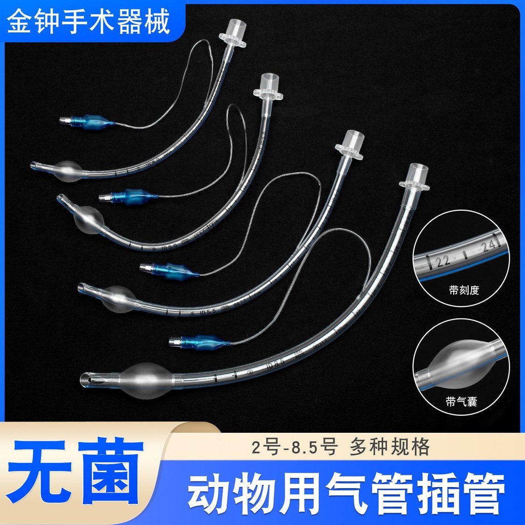 Pig Sterile with Scale Breathing Surgical Intubation Trachea Anesthesia ...