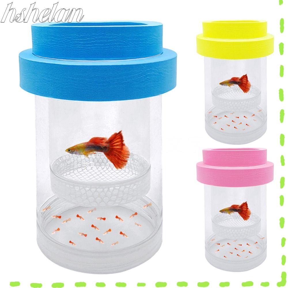 HSHELAA Floating Fish Breeding Isolation Box, Transparent Plastic Mesh ...