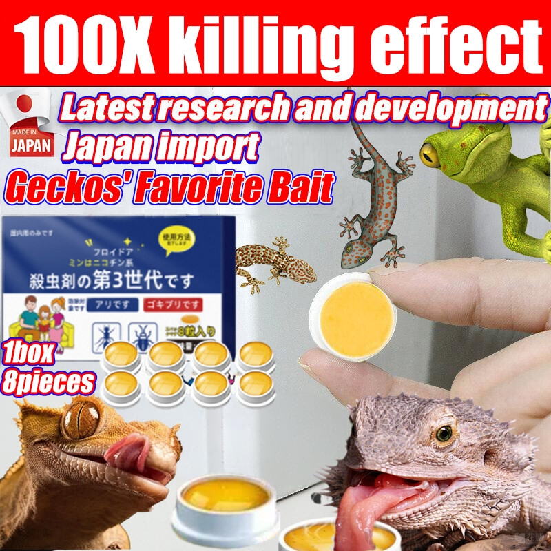 Lizard killer bait 16 pcs/box ubat cicak Can kill geckos lizards ...