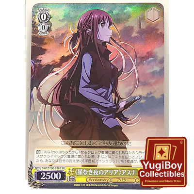 WS SAO/S100-016S SR