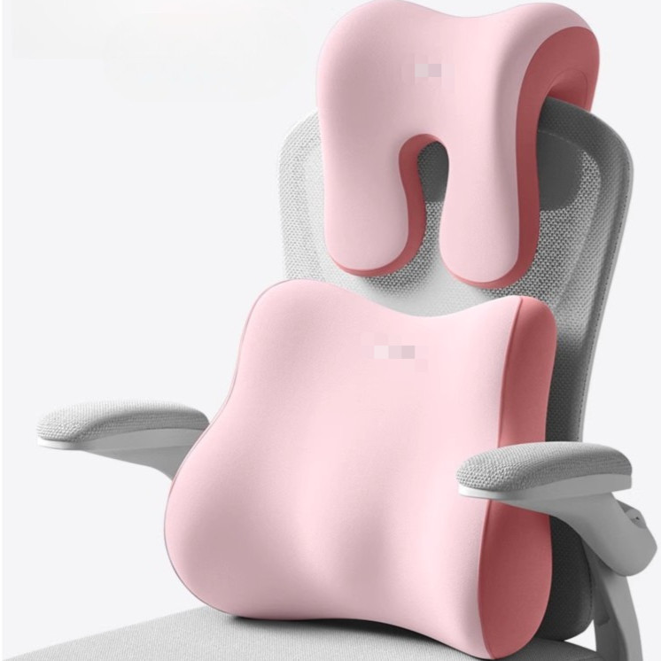 Memory Foam Neck Lumbar Support Pillow for Computer Chairs for Back ...