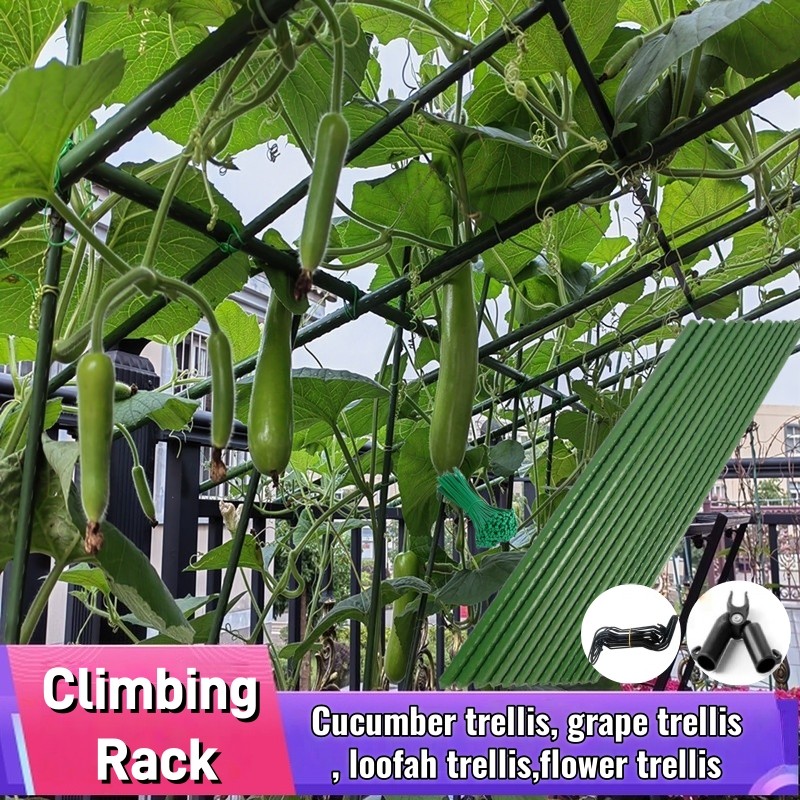 Climbing trellis grape runner bean frame plastic-coated steel pipe ...