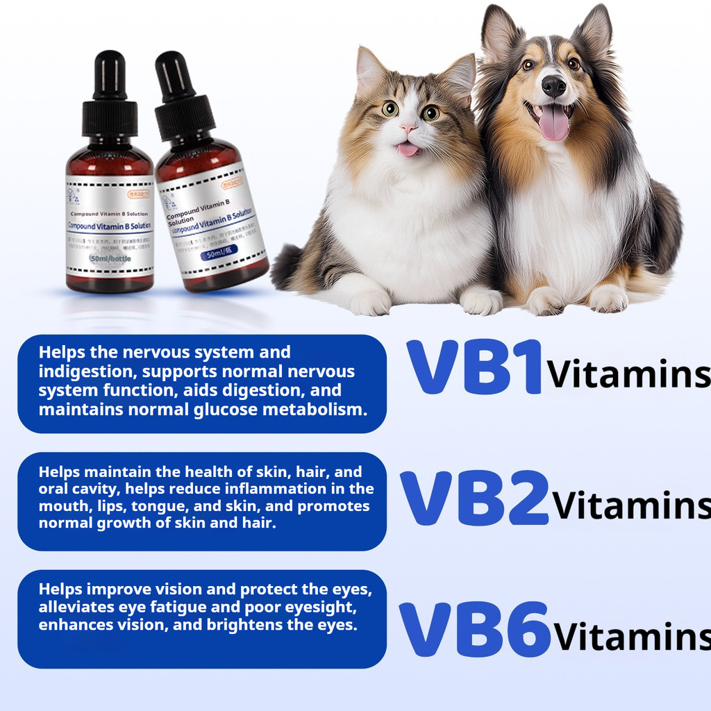 50ML B Complex Solution for Cats, Pet Dogs, Feline Stomatitis Medicine ...