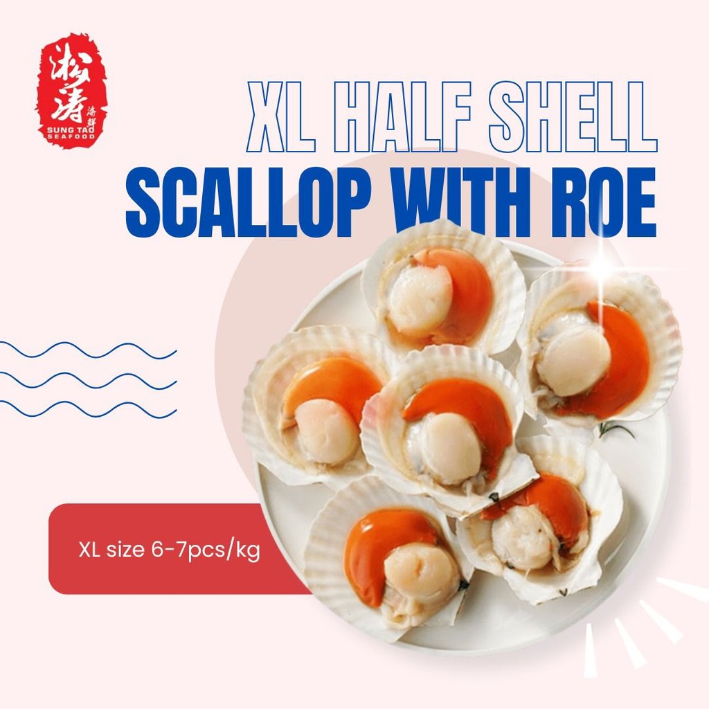 XL Half Shell Scallop With Roe 6-7Pcs/KG | Shopee Malaysia