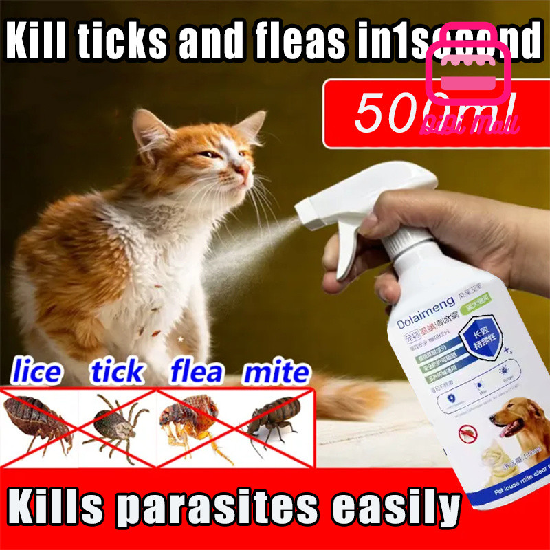 Photo inspiration: Kill Ticks And Fleas In 1 Second Pet Flea Flea Photo Inspiration