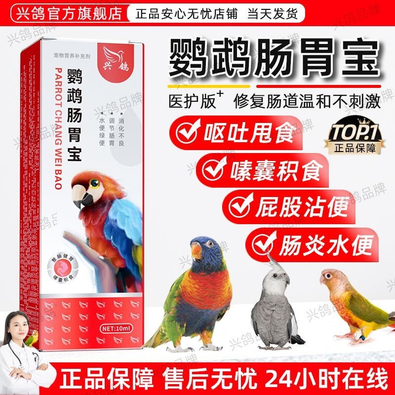 Parrot Stretching Sticky Poop Medicine Vomiting Throwing Food Parrot ...