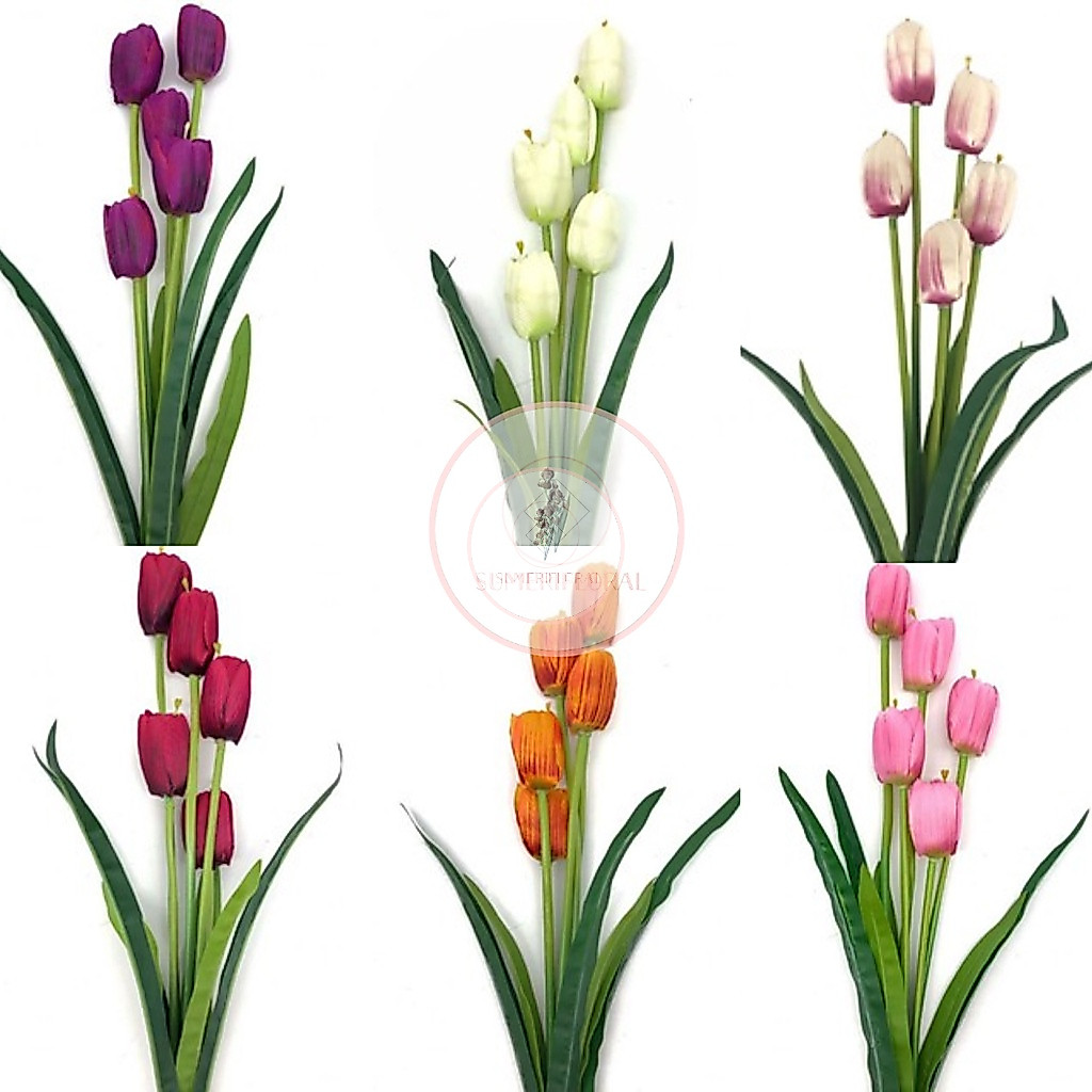 bunga tulip Malaysia, Best Deals June 2026 | Shopee Malaysia