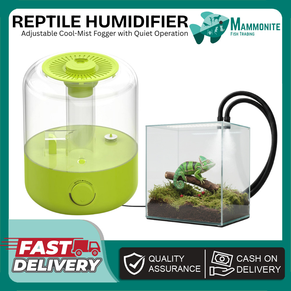 Reptile Humidifier 2.5L Top-Fill Ultrasonic Reptile Adjustable Cool ...