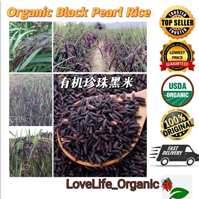 ORGANIC BLACK PEARL RICE 500G/1KG 有机珍珠黑米 Exp:11/2026 | Shopee Malaysia