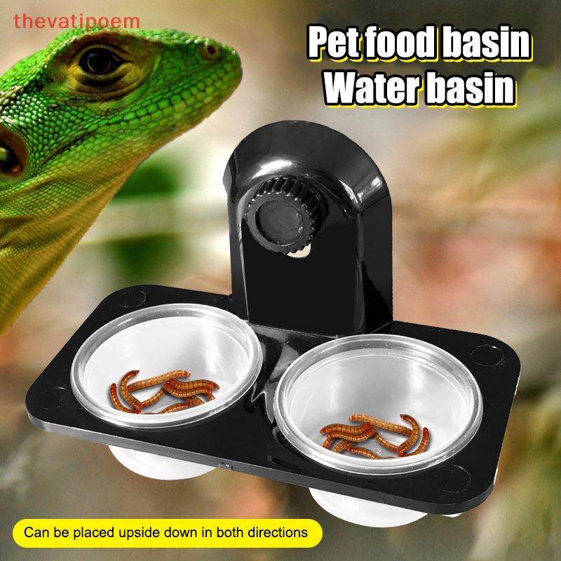 Image showcasing [thevatipoem] Reptile Tank Insect Spider Ants Nest Snake Gecko Food ...