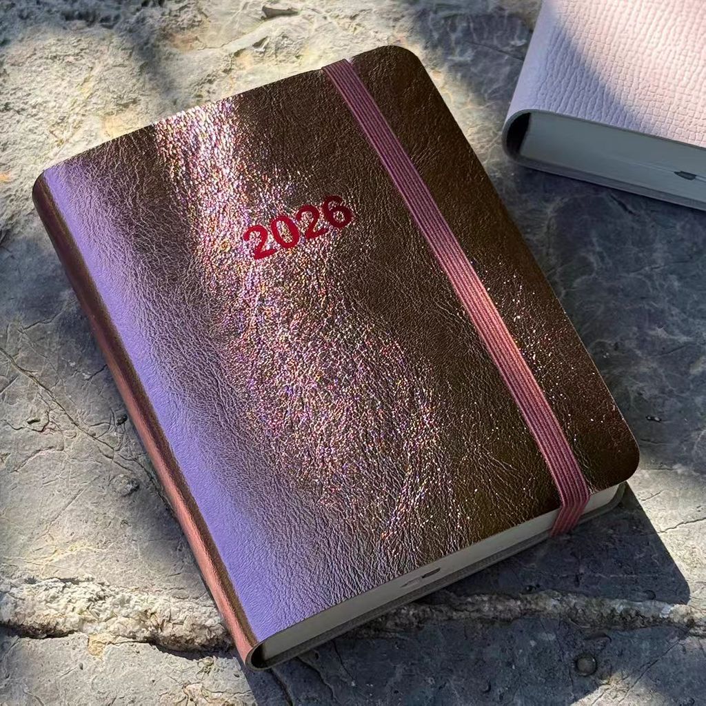 2026 [A7+Daily Planner] One Page a Day Mini Pocket Notepad Punch Card ...