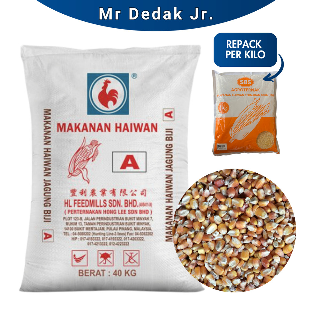 [10KG] [JA] [REPACK] JAGUNG A | JAGUNG TERNAKAN | CORN FOR ANIMAL ...