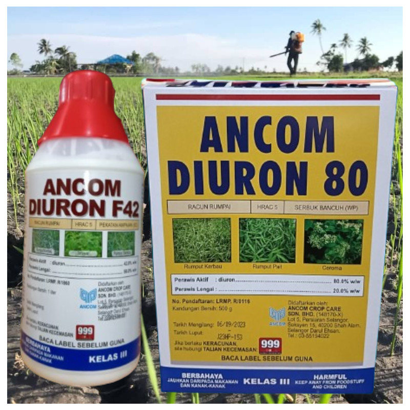 [ORIGINAL] 1L ANCOM DIURON F42 500G ANCOM DIURON 80 Racun Rumput Sambau ...