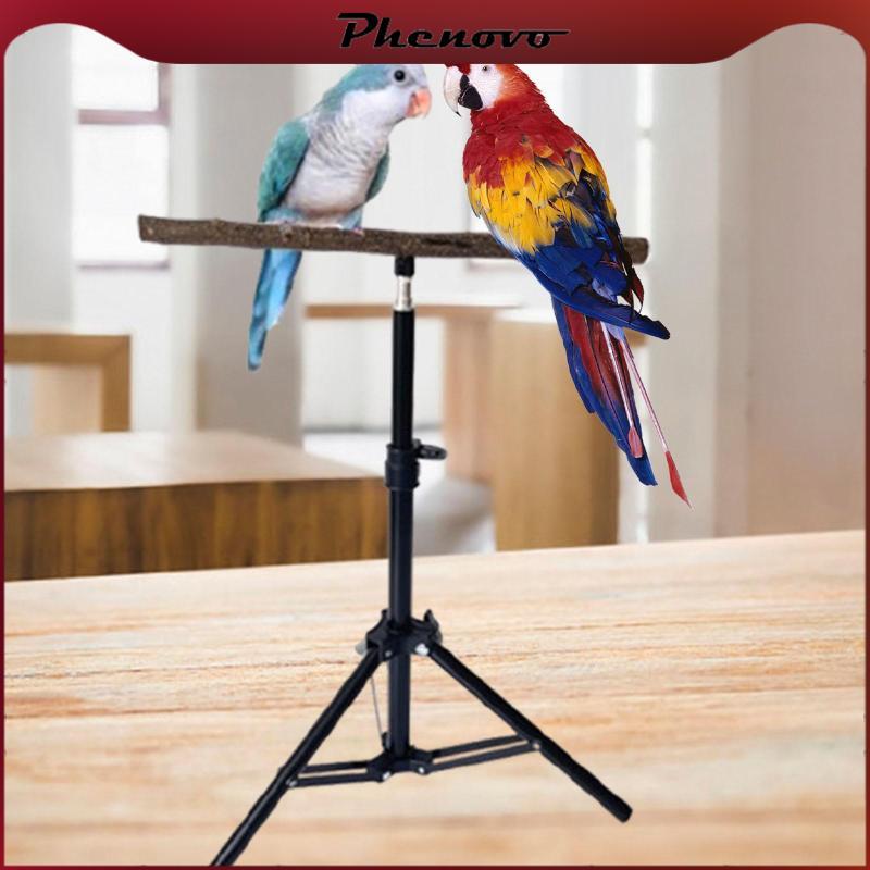Image showcasing [Phenovo] Parrot Stand for Birds, Height Adjustable, Tripod for ...