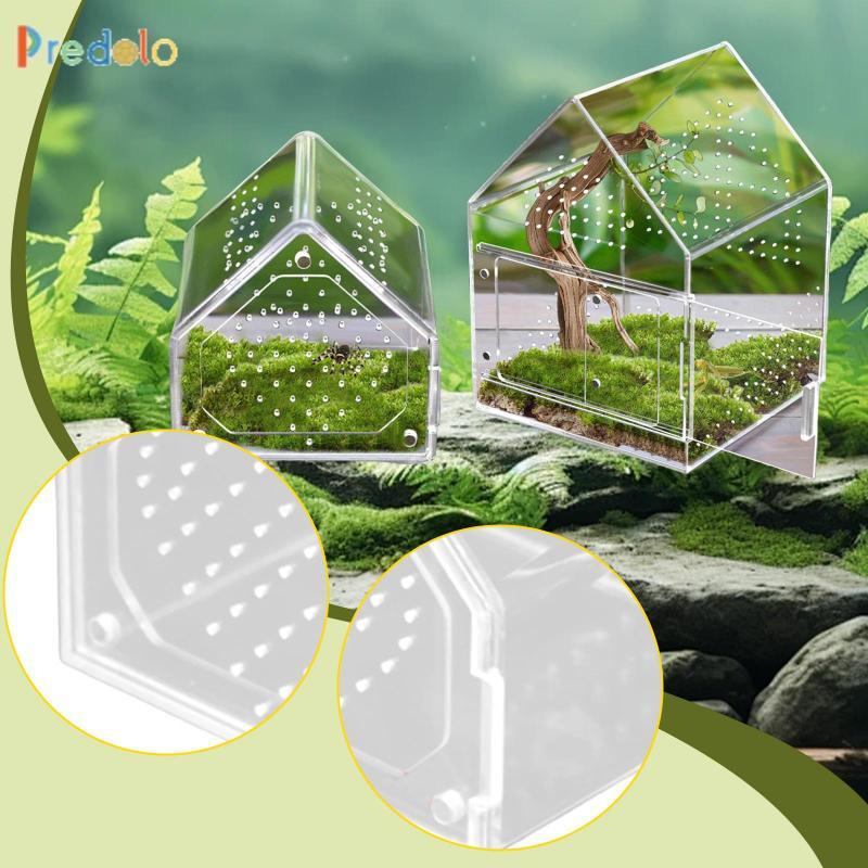 [Predolo] Jumping Spider Enclosure, Insect Breeding Box, Acrylic, Tree ...