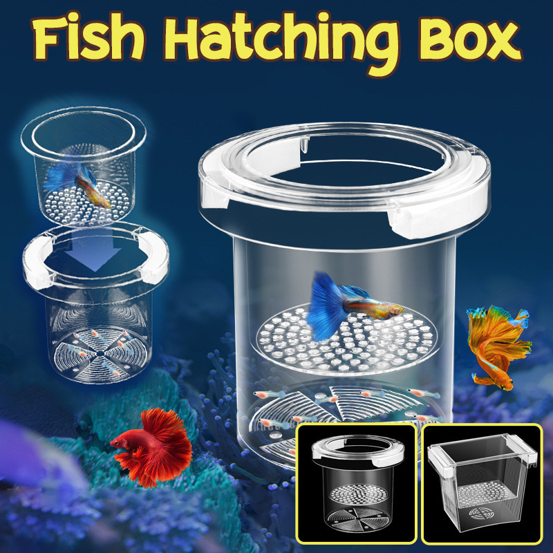 Fish Hatching Box Floating Fish Breeding Isolation Box Transparent ...