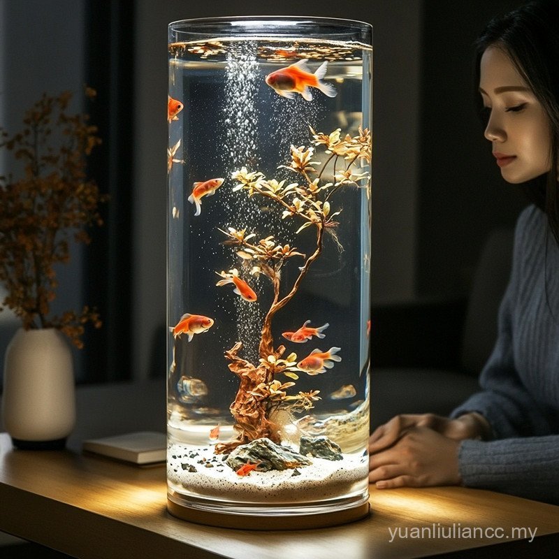 Photo inspiration: Visual Reference: Ultra White Acrylic Fish Tank Transparent Imitation Glass Goldfish Tank