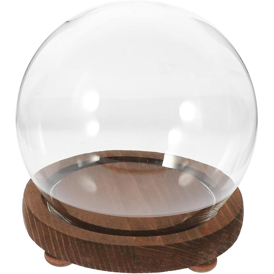 glass dome display - Prices and Promotions - Oct 2026 | Shopee Malaysia
