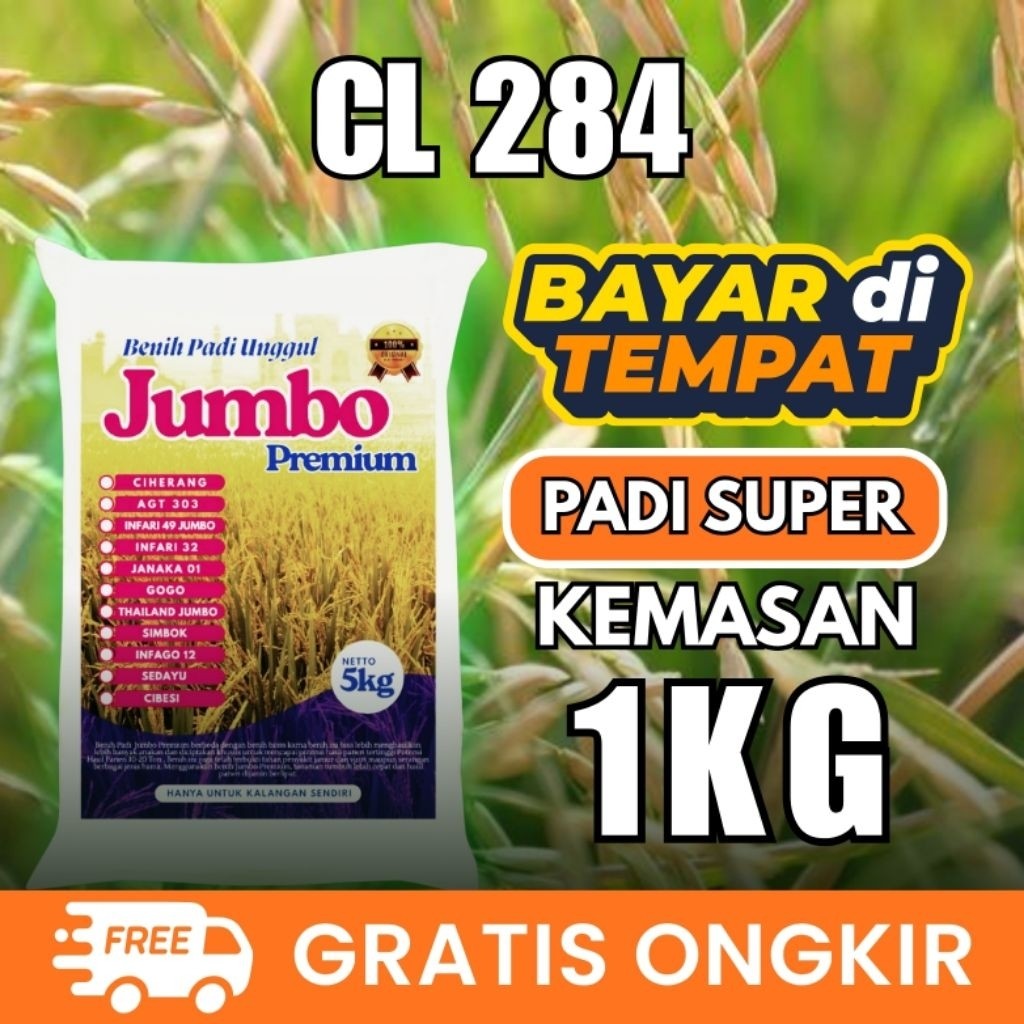 CL 284 Rice Seeds 1kg Original Packaging | Shopee Malaysia