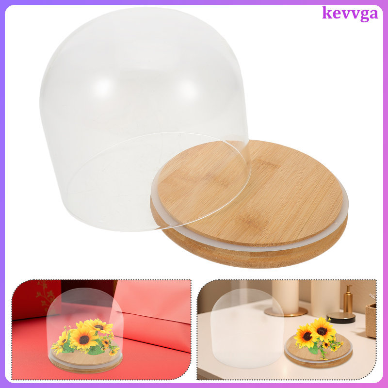 glass dome display - Prices and Promotions - Oct 2026 | Shopee Malaysia
